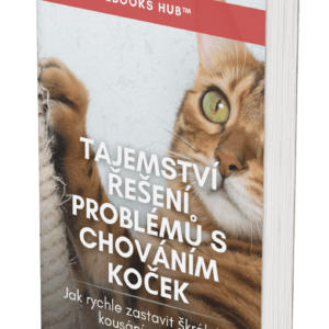 The Secrets to Solving Cat Behavioral Issues - CZ