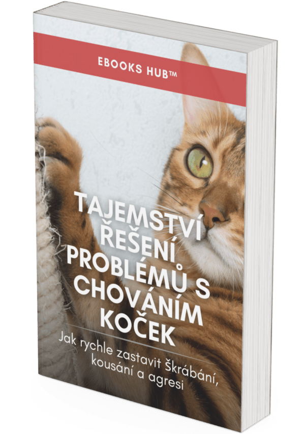 The Secrets to Solving Cat Behavioral Issues - CZ