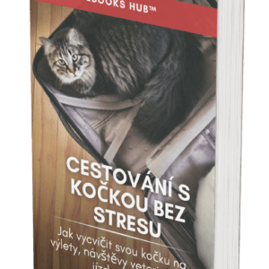Stress-Free Cat Travel - CZ