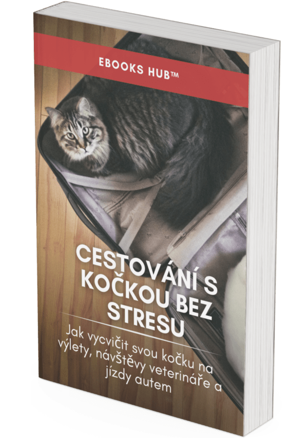 Stress-Free Cat Travel - CZ