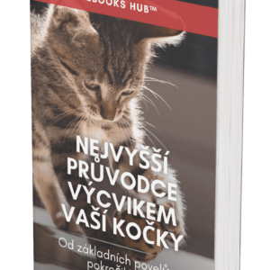 The Ultimate Guide to Training Your Cat - CZ