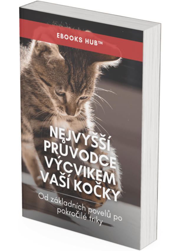 The Ultimate Guide to Training Your Cat - CZ