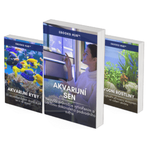 Top 3 Sellers - Dream Aquarium CZ