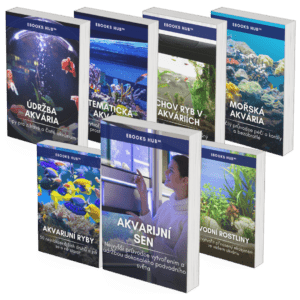 Complete Collection - Dream Aquarium CZ