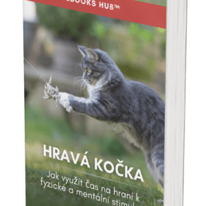 The Playful Cat - CZ