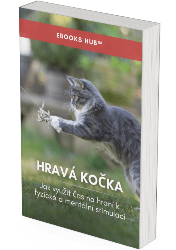 The Playful Cat - CZ