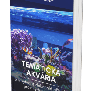 Themed Aquarium - CZ