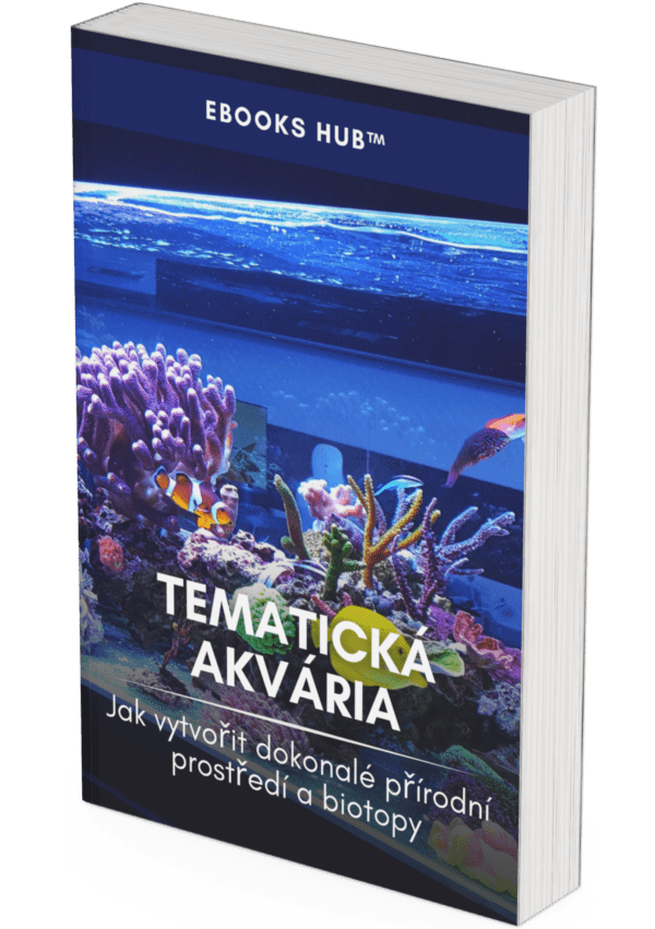 Themed Aquarium - CZ