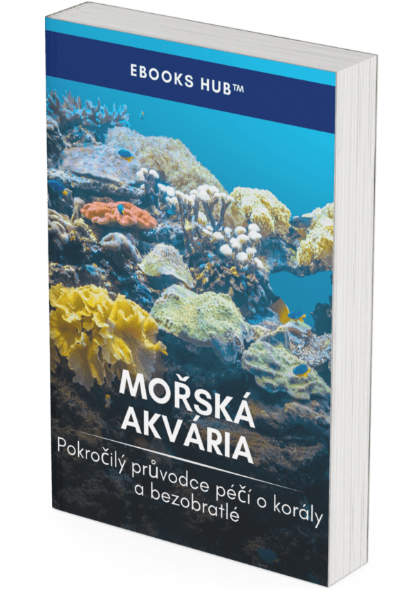 Marine Aquarium - CZ